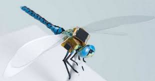 Bikin Kaget Penampakan Capung Jadi Drone Cyborg